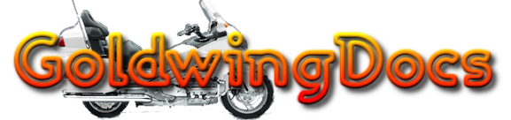 Polar Vest Review At GoldWingDocs